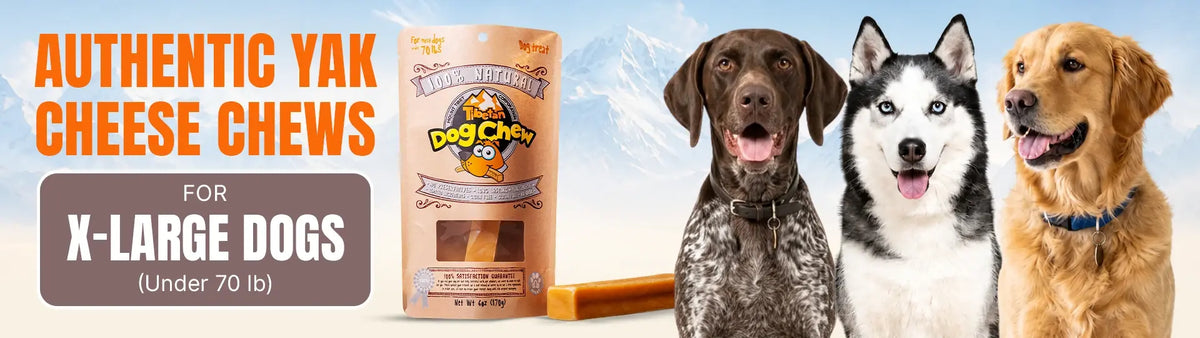 Chew and Treats for XL Dogs (under 70lbs)