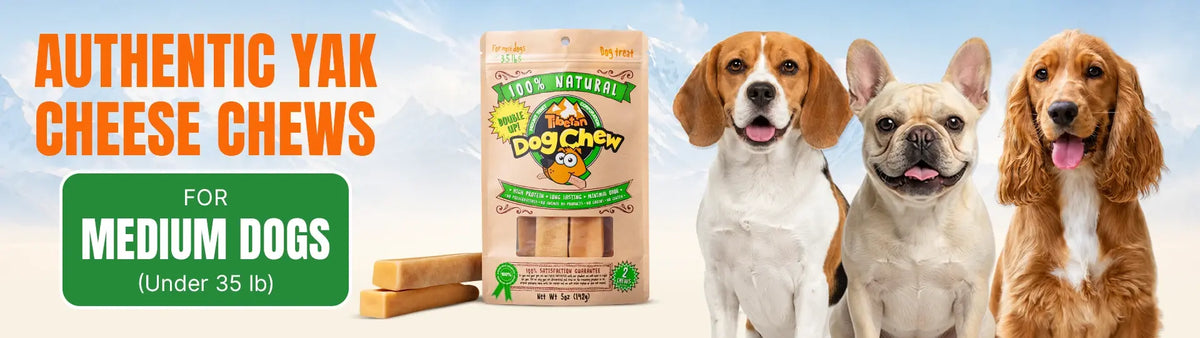 Chew and Treats for Medium Dogs (under 35lbs)
