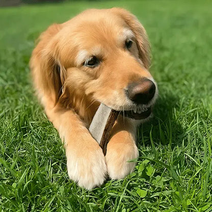 Medium Dog Dental Chew Bundle – Natural Himalayan Yak Chews & Elk Antlers for Dogs Under 35 lbs