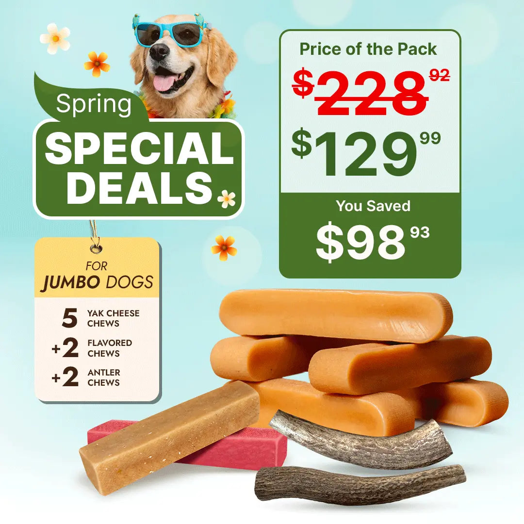 Jumbo Dog Dental Chew Bundle – Extra Thick Himalayan Yak Chews & Elk Antlers for Power Chewers Under 100 lbs