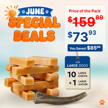 Dog chew product with June special deals text and price information on a gradient background.