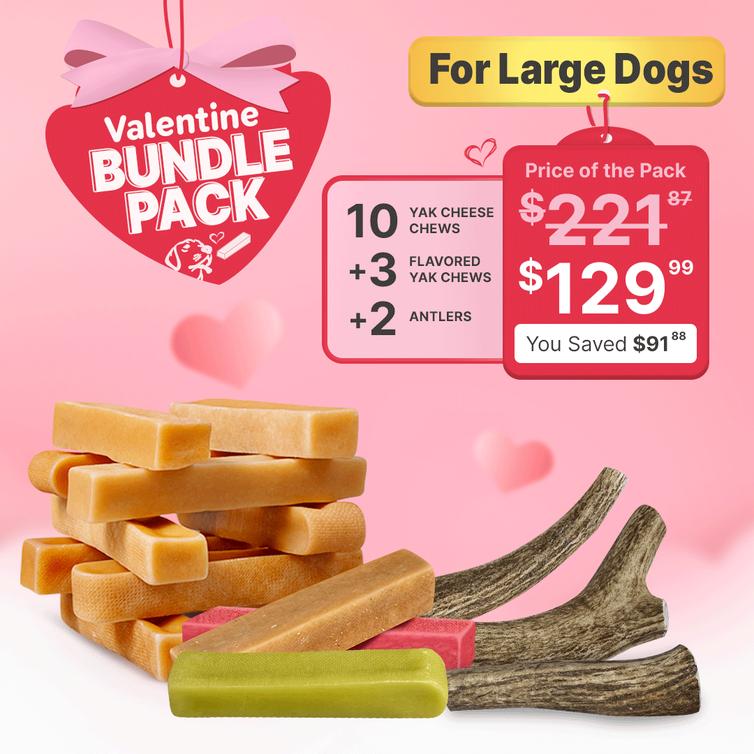 Made with Love: Valentine’s Large Dog Chew Collection