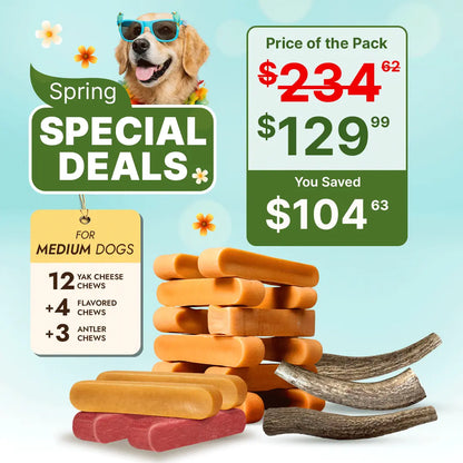 Medium Dog Dental Chew Bundle – Natural Himalayan Yak Chews & Elk Antlers for Dogs Under 35 lbs