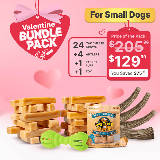 Valentine’s Special for Small Dogs - Premium Chew & Treat Bundle