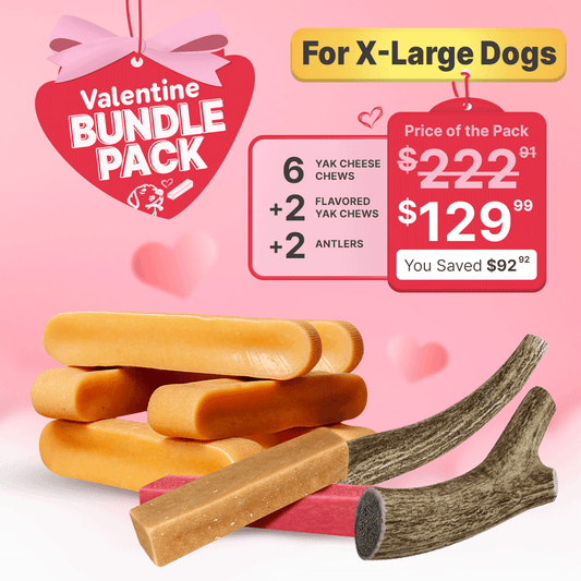 Valentine’s Day Treat Bundle for X-Large Dogs - Yak Chews & Antlers Pack