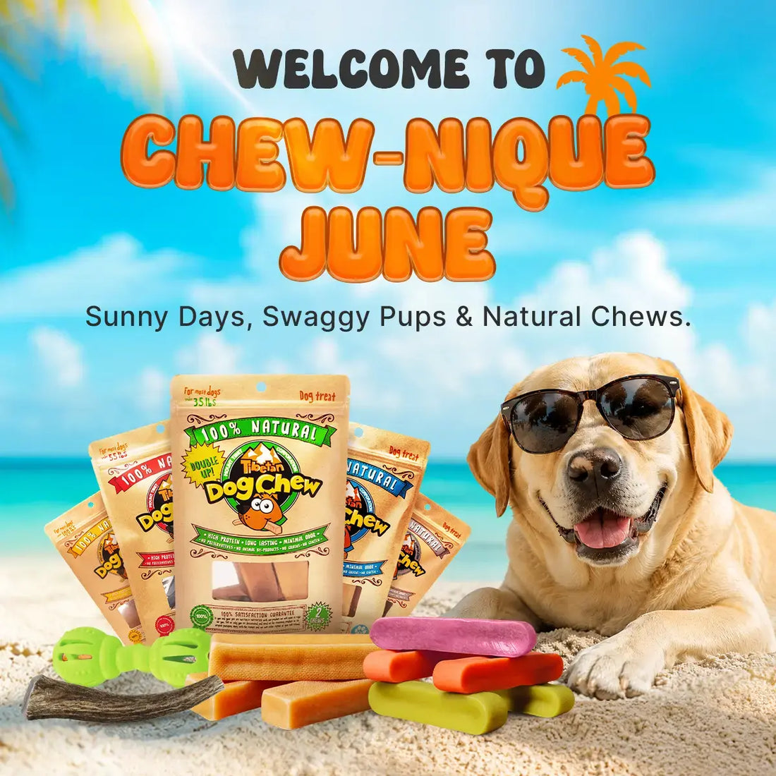 Promotional image for Chew-nique June with dog treats and a dog on a beach.