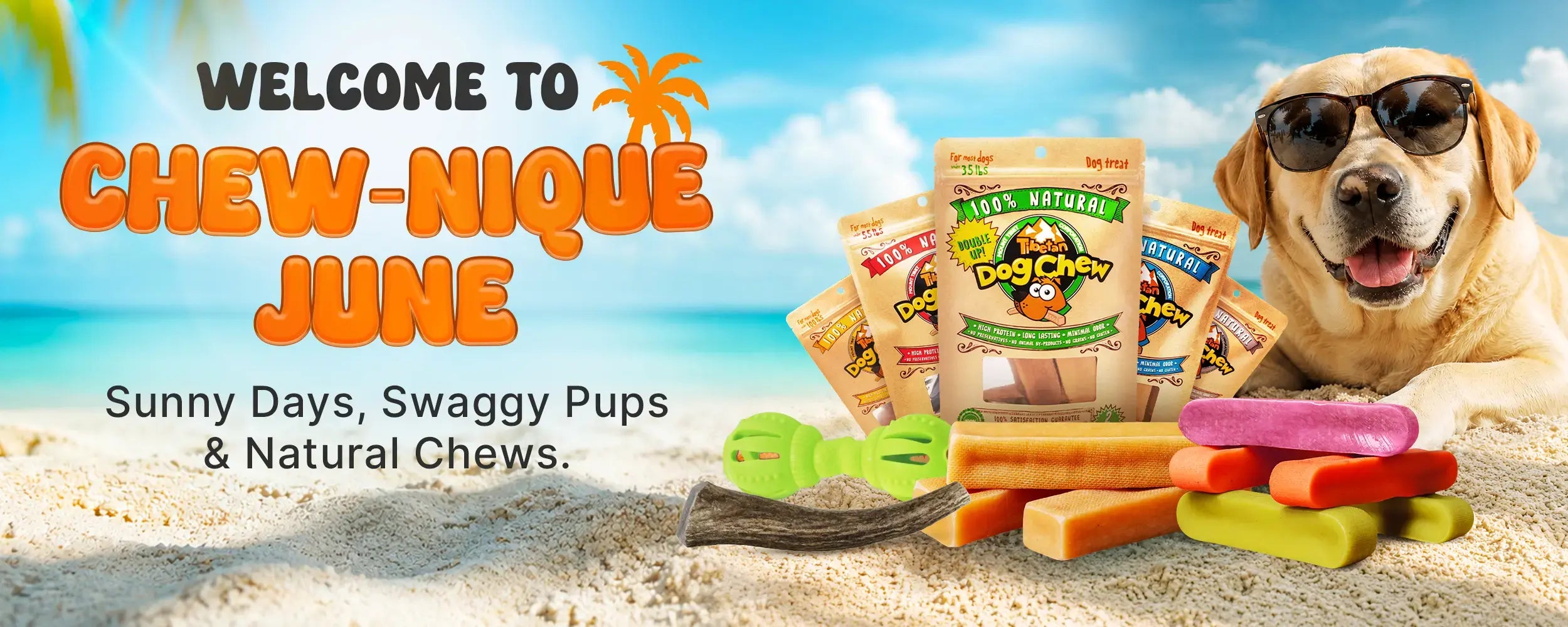 Dog treats and toys on a beach with a dog wearing sunglasses, promotional text for 'Chew-nique June'.