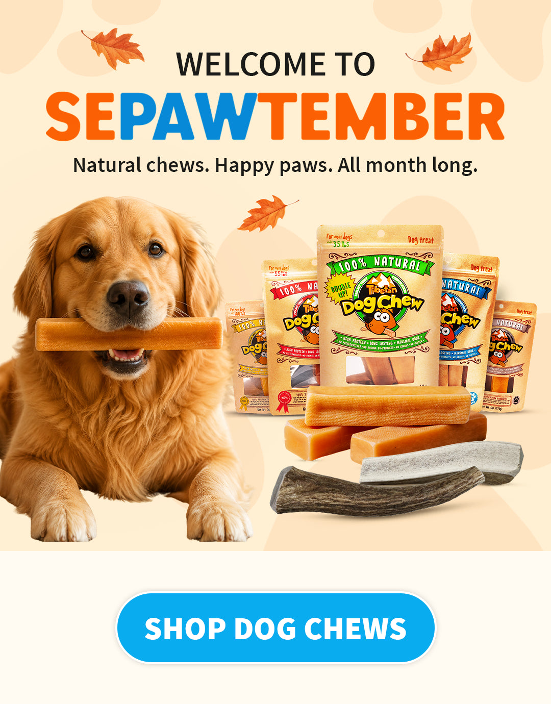 Sepawtember dog chew advertisement featuring a golden retriever holding a chew in its mouth, surrounded by multiple bags and loose dog treats. The ad includes the text 'WELCOME TO SEPAWTEMBER' and a blue 'SHOP DOG CHEWS' button on a light beige background with decorative autumn leaves.