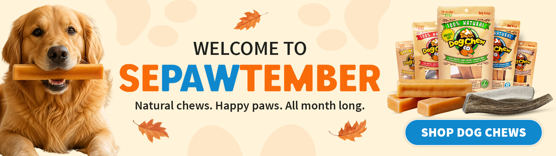 A promotional banner for Sepawtember dog chews, featuring a golden retriever holding a chew in its mouth on the left, and several bags and loose dog treats on the right against a beige background with orange leaves and the text 'WELCOME TO SEPAWTEMBER' and 'SHOP DOG CHews'.