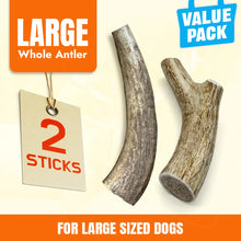 Large Whole Antlers for Dogs | 2 Piece Chews for Aggressive Chewers