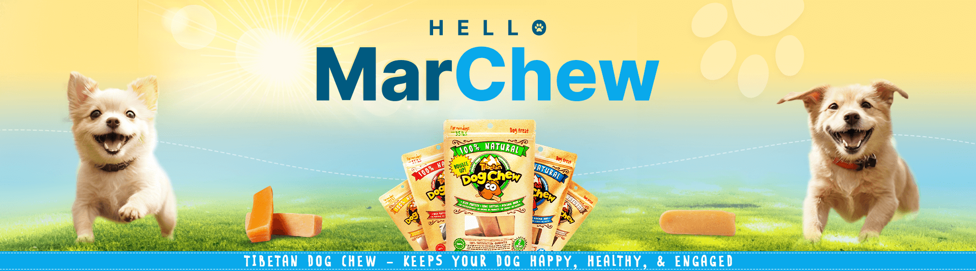 Dog chew discount treats