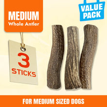 Medium Whole Antlers for Dogs | 3 Piece Natural Treats