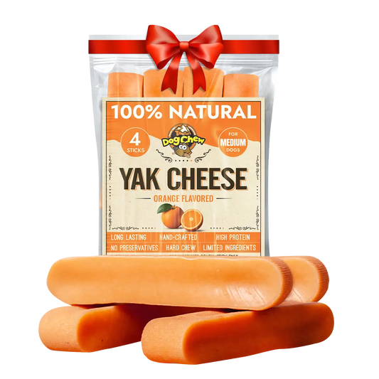 Orange Dog Chew – Natural & Long-Lasting Citrus Yak Milk Chew