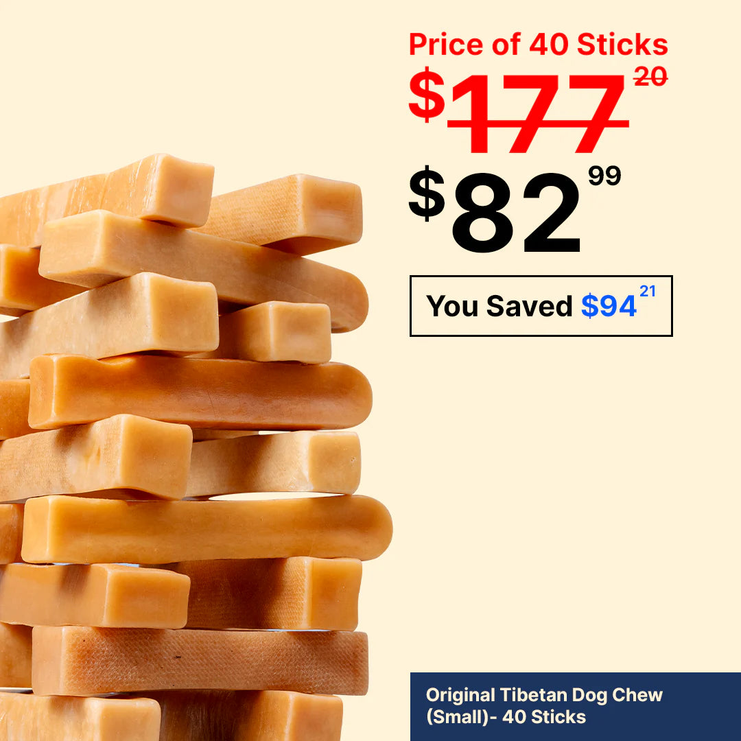 Small Yak Chews for Dogs Under 15 lbs – Natural Puppy Treats