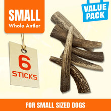 Small Whole Antlers for Dogs | 6 Pack Long-Lasting Chew Treats