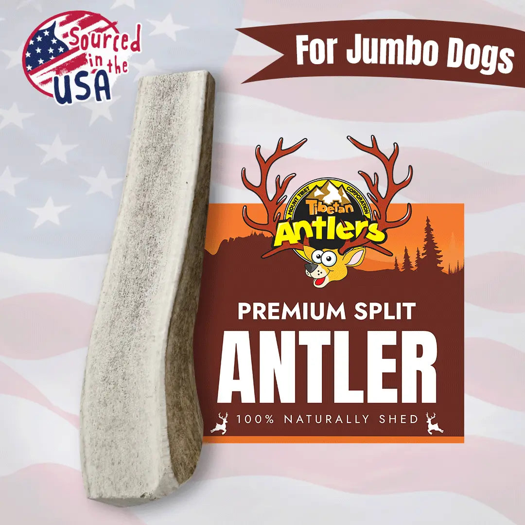 Jumbo Elk Antler Dog Chews – Natural, Long-Lasting & Single-Ingredient Chew Bones