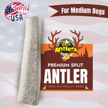 Medium Elk Antlers for Dogs – Natural Long-Lasting Chew Treats