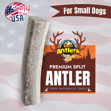 Small Elk Chew Antlers for Dogs