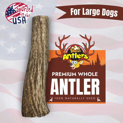 Natural Elk Antlers for Large Dogs