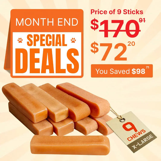 X-Large Yak Cheese Dog Chews – 9 Sticks | Durable & All-Natural Treat