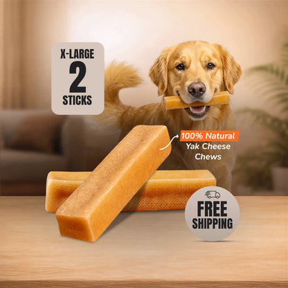 XL Yak Cheese Dog Chews for Most Aggressive Chewers Under 70 lbs - Natural & Long-Lasting