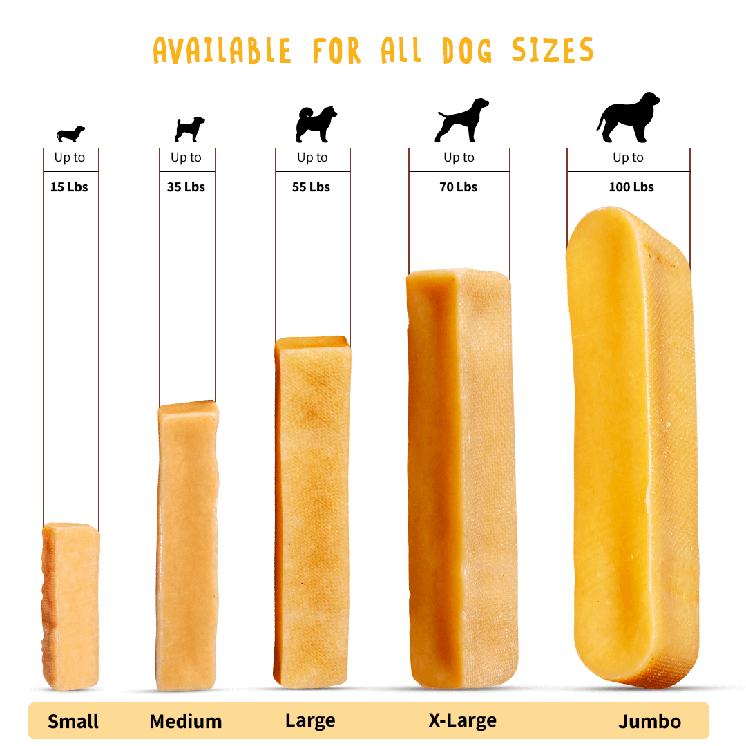 Available for all size of dogs