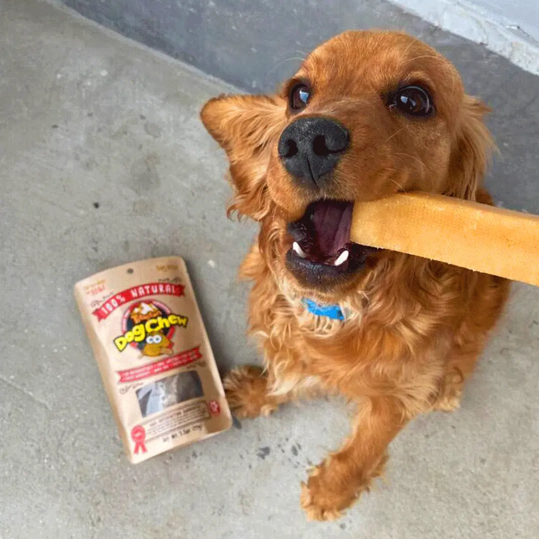 Dog chewing on a treat with a package of Dog Chew Natural in the foreground.