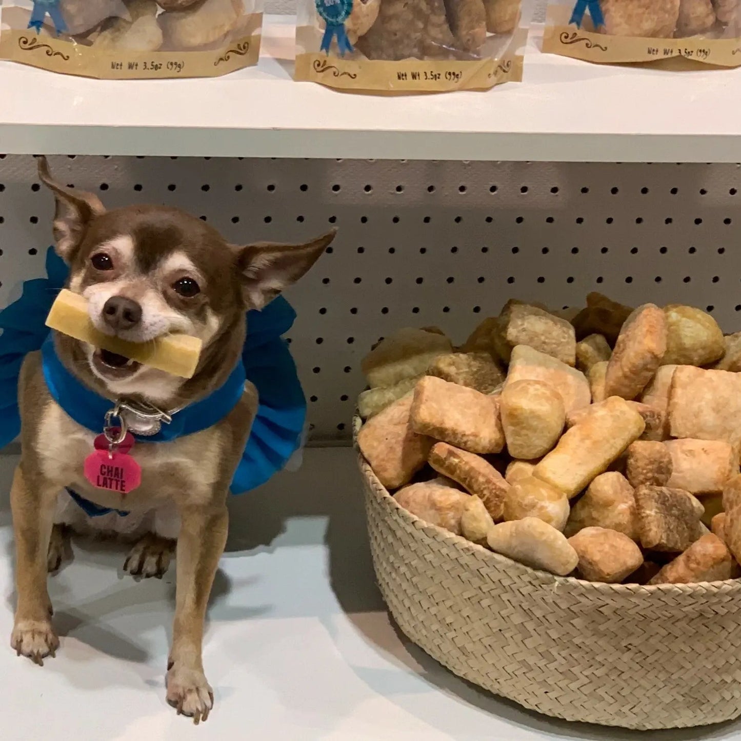 Dog with a blue bandana and toy next to a basket of dog treats on a shelf.