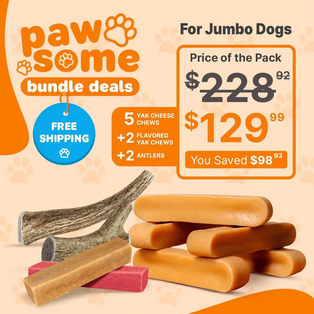 Valentine’s Day Treat Bundle for Jumbo Dogs - Chews & Treat Pack for Power Chewers
