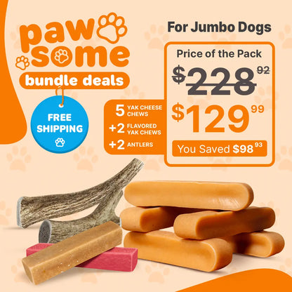 Valentine’s Day Treat Bundle for Jumbo Dogs - Chews & Treat Pack for Power Chewers