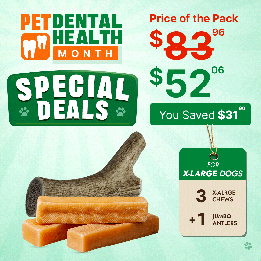X-Large Dog Saver Pack - 3 pc Yak chew+ 1 pc whole elk antler - Hard and Long Lasting Dog Dental Sticks