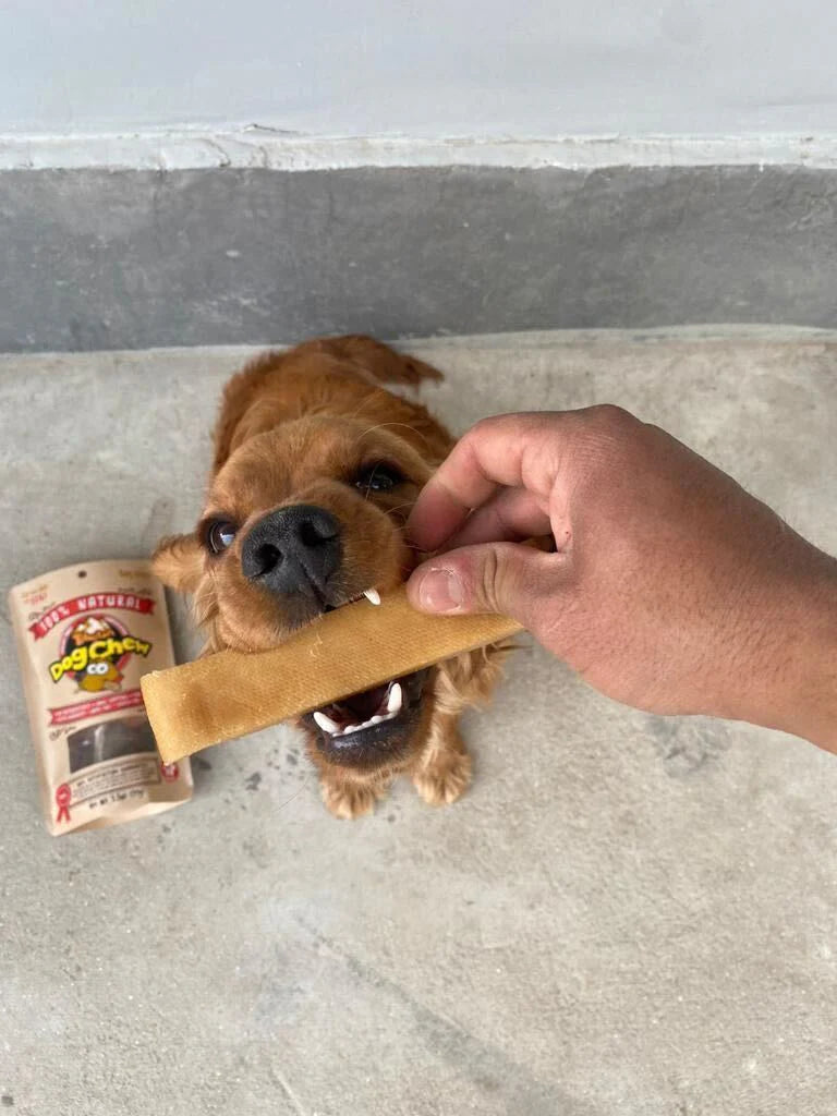 Large Dog Spring Bundle Pack - Durable Natural Yak Chews & Antler Bundle for Dogs Under 55lbs